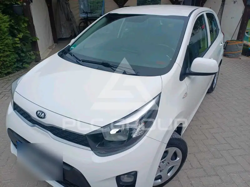 2019 KIA Picanto