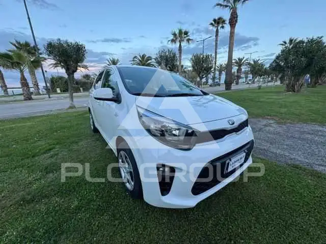 2019 KIA Picanto