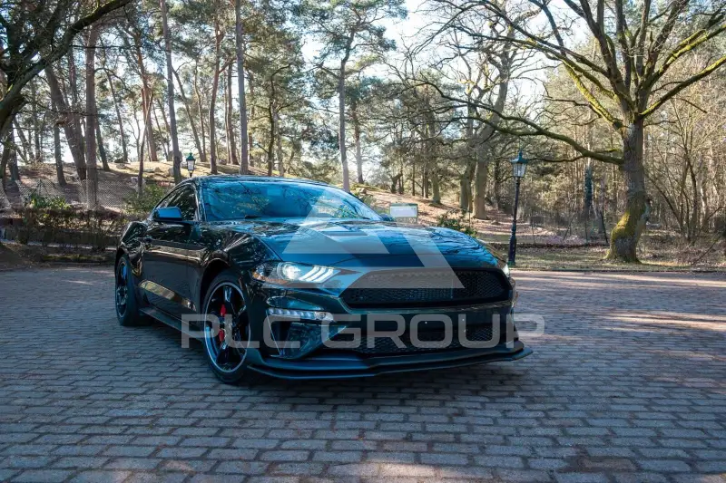 2019 Ford MUSTANG