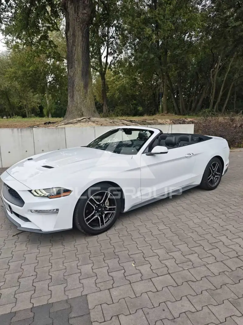 2019 Ford MUSTANG