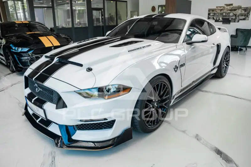 2019 Ford MUSTANG