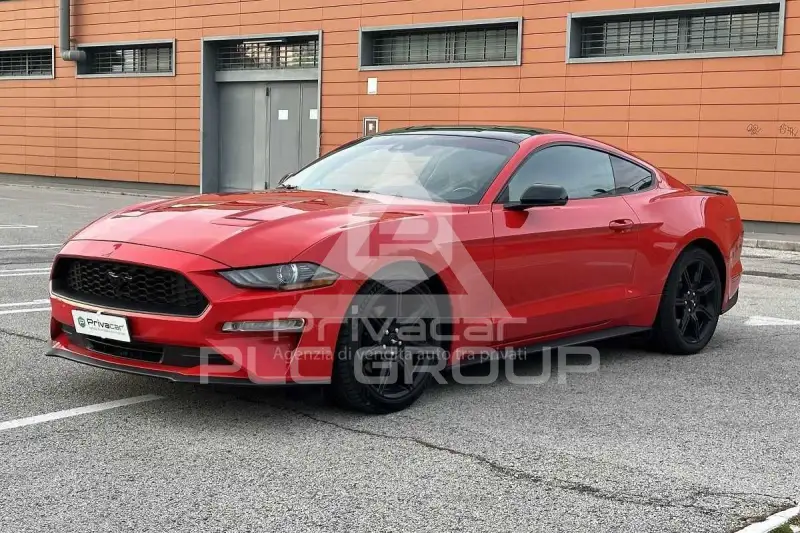 2019 Ford MUSTANG