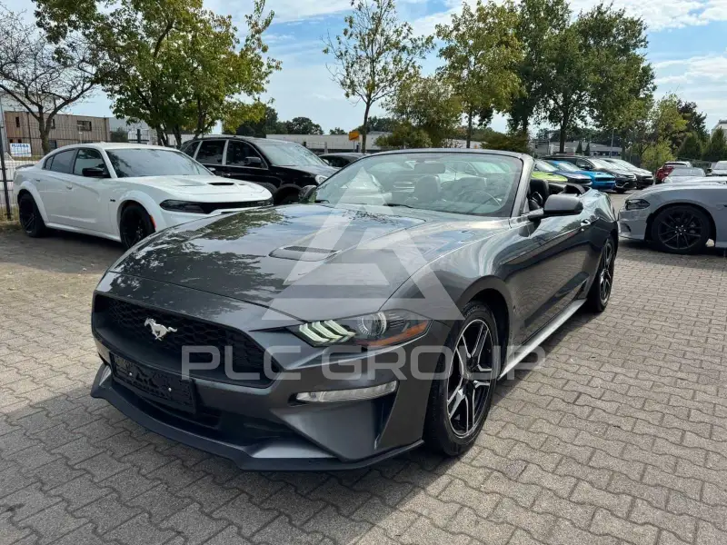 2019 Ford MUSTANG