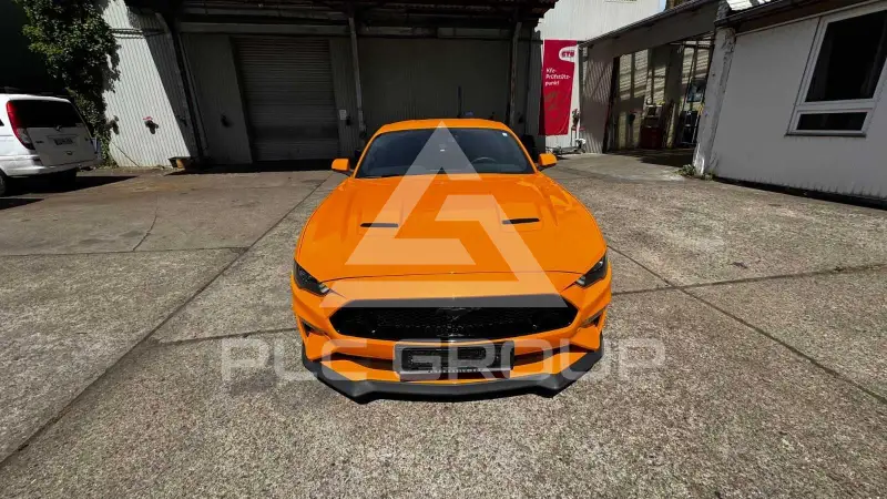 2019 Ford MUSTANG