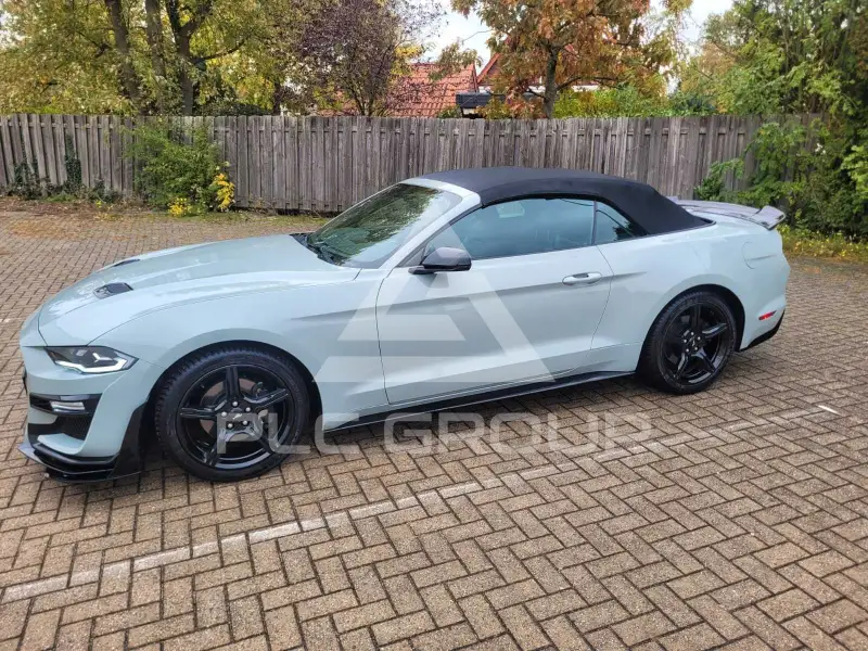 2019 Ford MUSTANG
