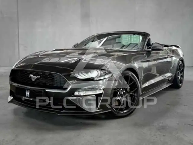 2019 Ford MUSTANG