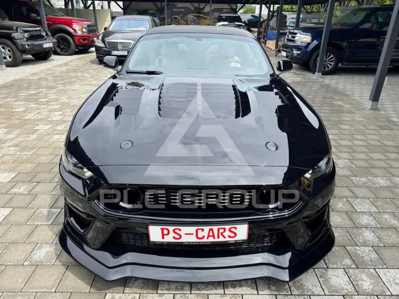 2019 Ford MUSTANG