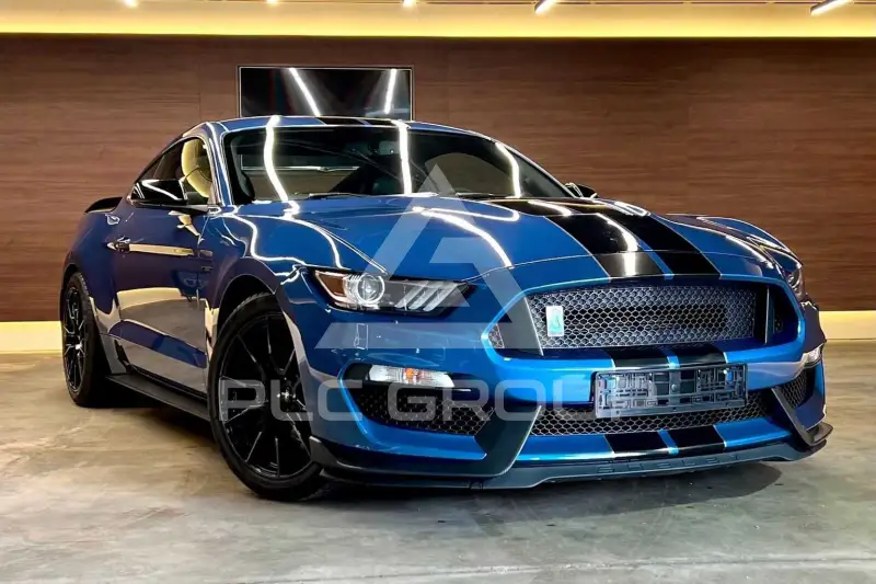 2019 Ford MUSTANG