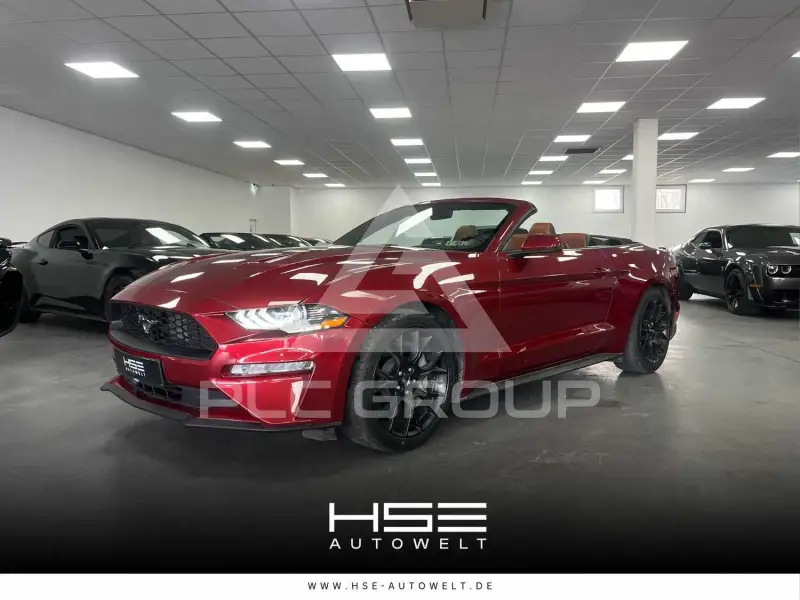 2019 Ford MUSTANG