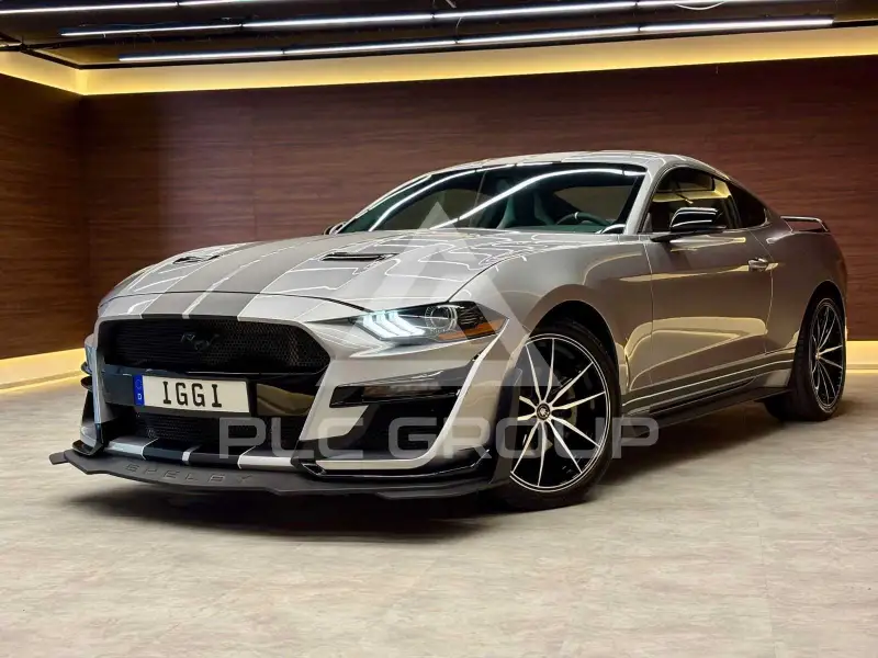 2019 Ford MUSTANG