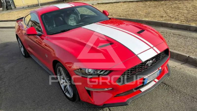 2019 Ford MUSTANG
