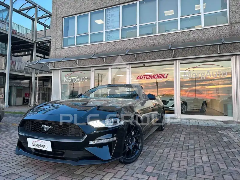2019 Ford MUSTANG