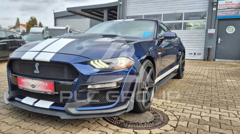 2019 Ford MUSTANG