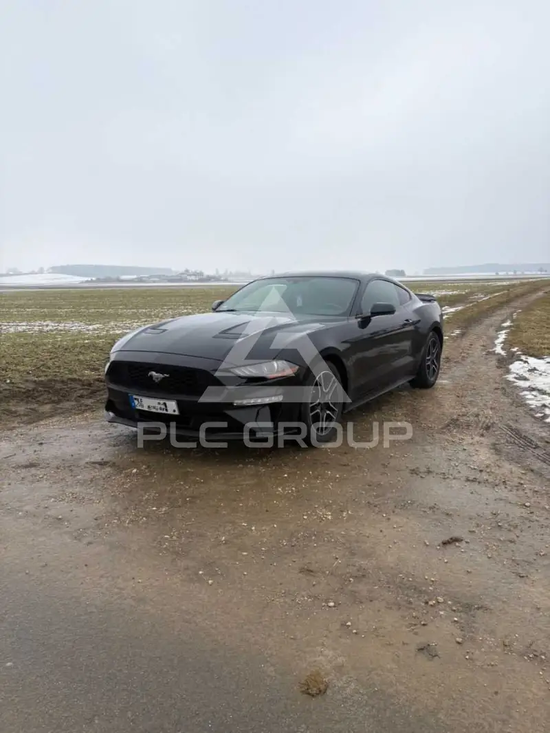 2019 Ford MUSTANG