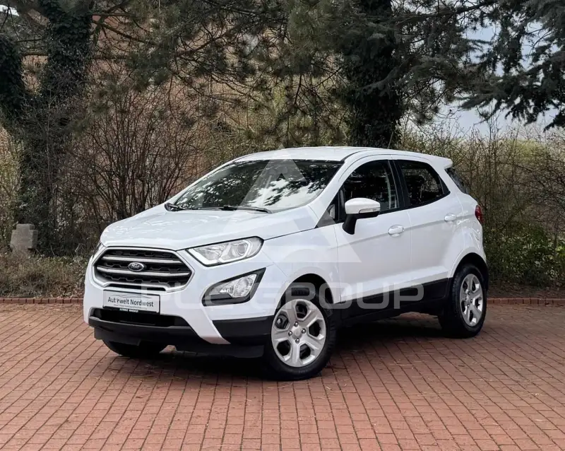 2019 Ford Eco Sport
