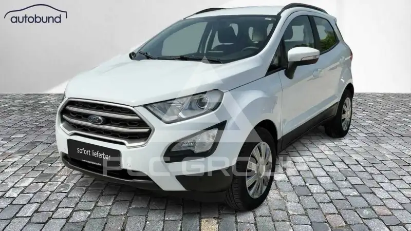 2019 Ford Eco Sport