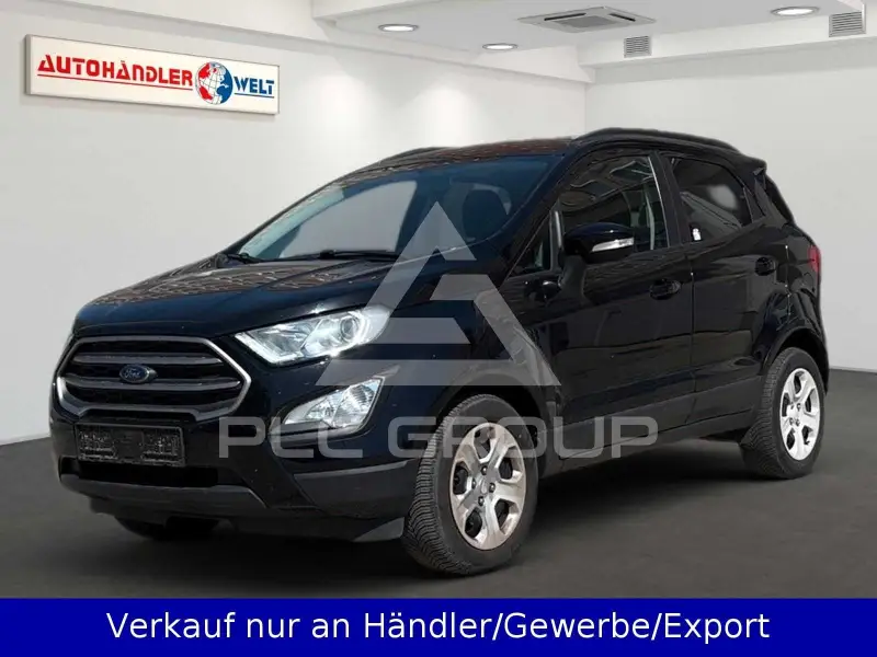 2019 Ford Eco Sport