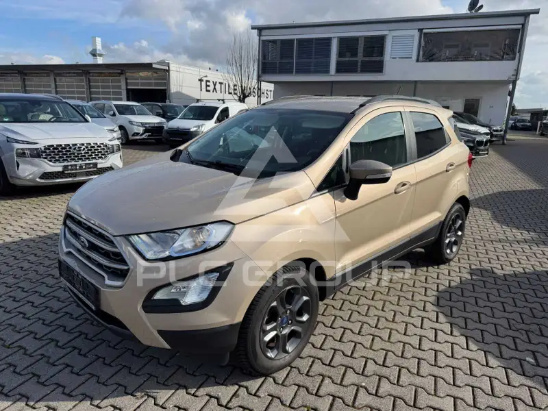 2019 Ford Eco Sport