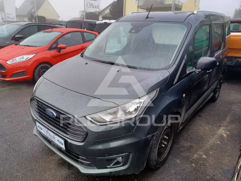 2019 Ford Tourneo