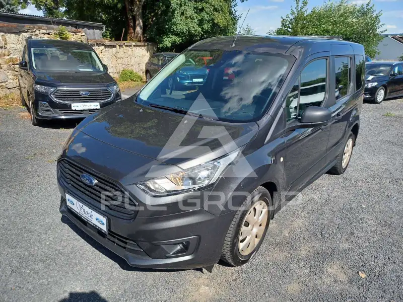 2019 Ford Tourneo