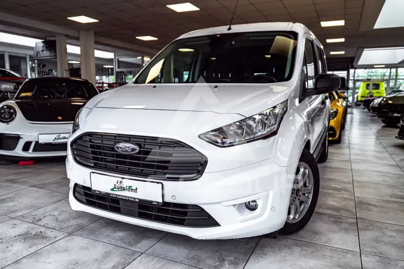2019 Ford Tourneo