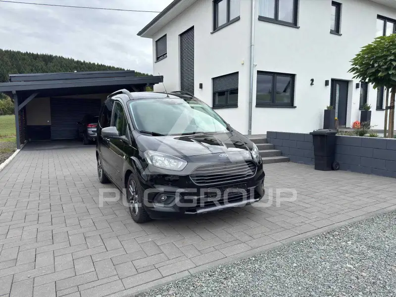 2019 Ford Tourneo
