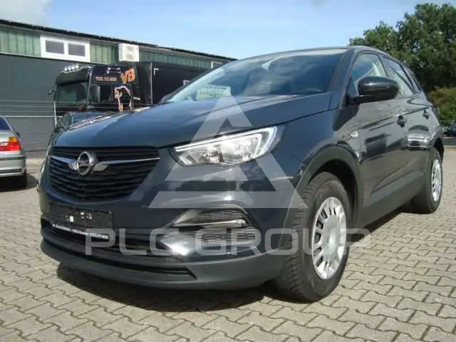 2019 Opel GrandlandX