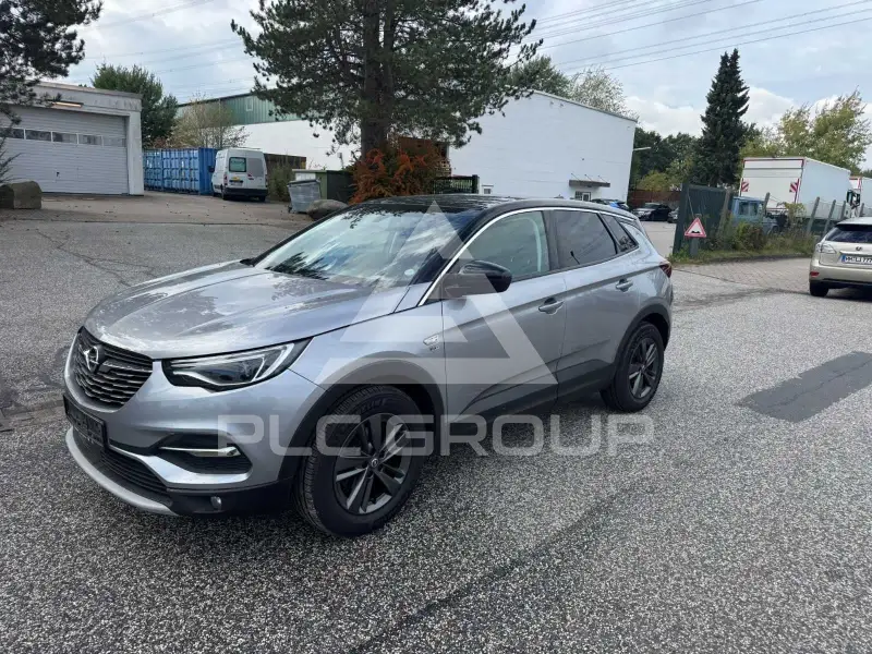 2019 Opel GrandlandX