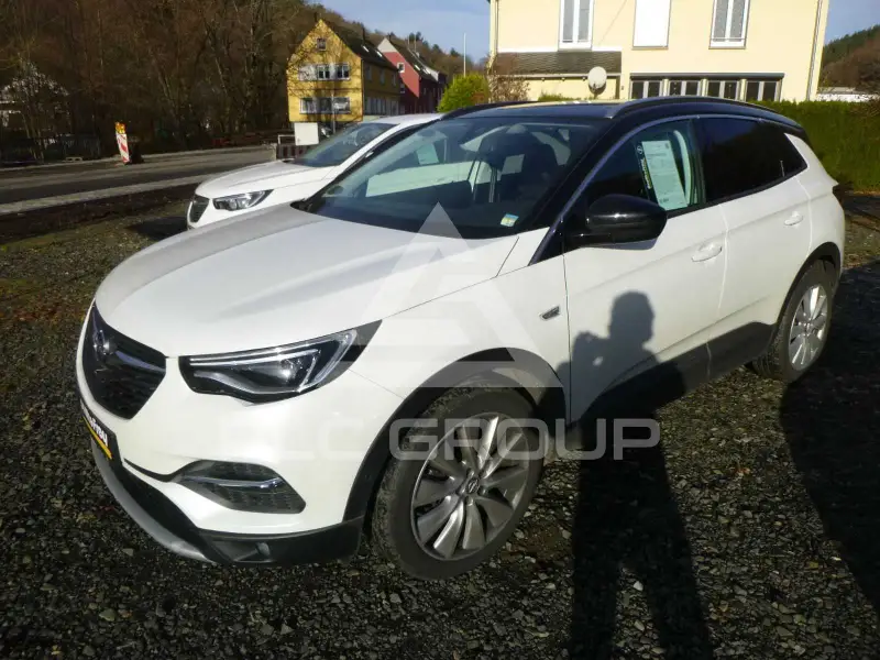 2019 Opel GrandlandX