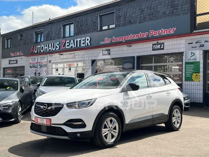 2019 Opel GrandlandX