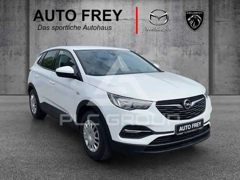 2019 Opel GrandlandX
