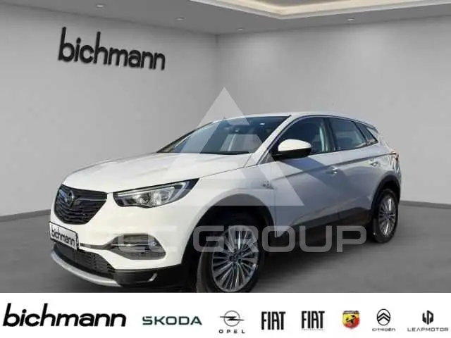 2019 Opel GrandlandX