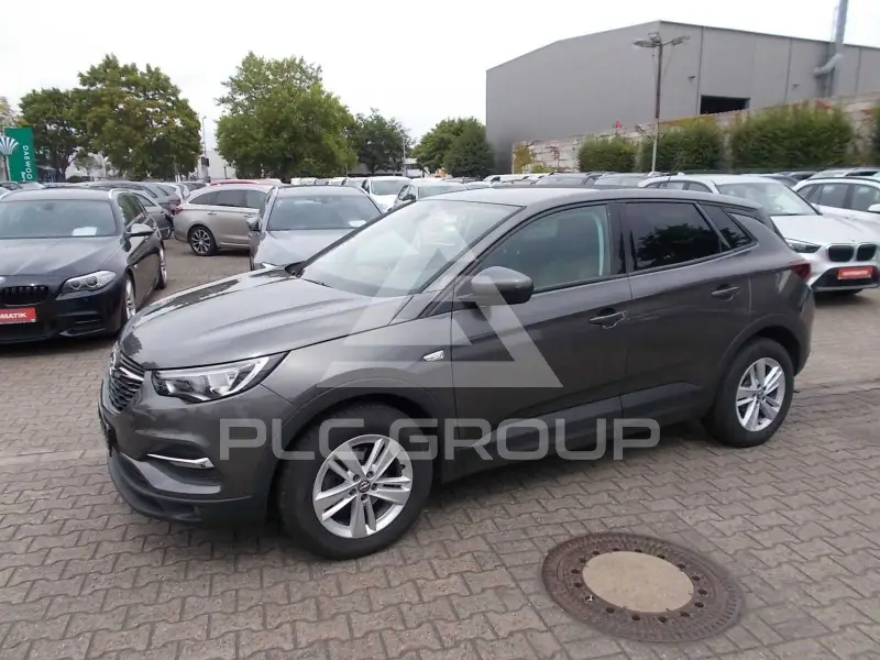 2019 Opel GrandlandX