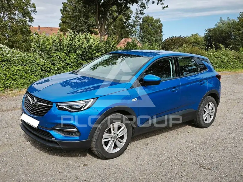 2019 Opel GrandlandX