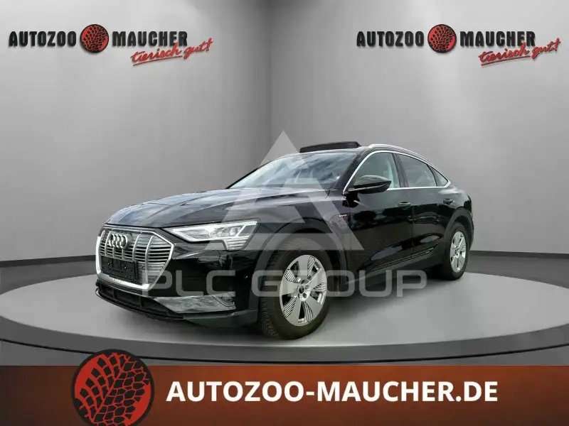 2020 Audi E-TRON