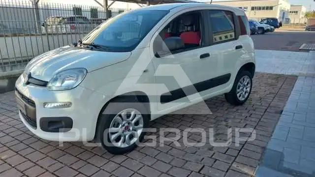 2020 Fiat Panda