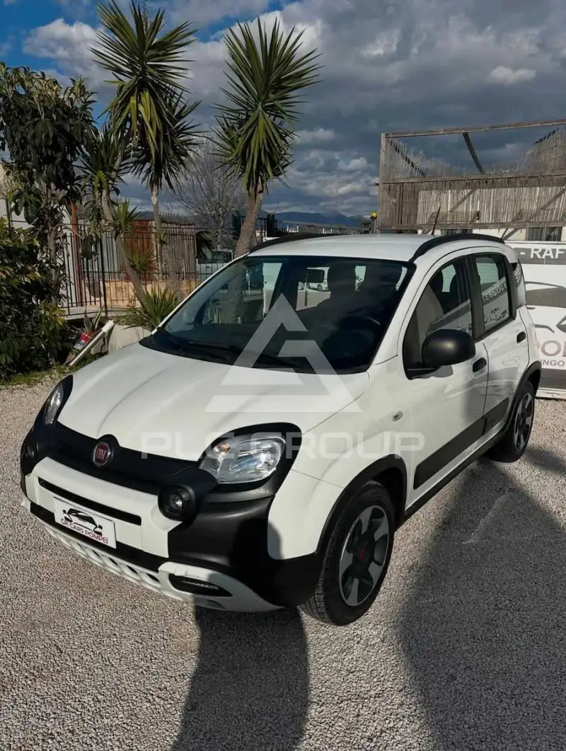 2020 Fiat Panda