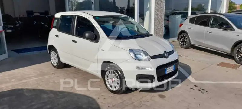 2020 Fiat Panda