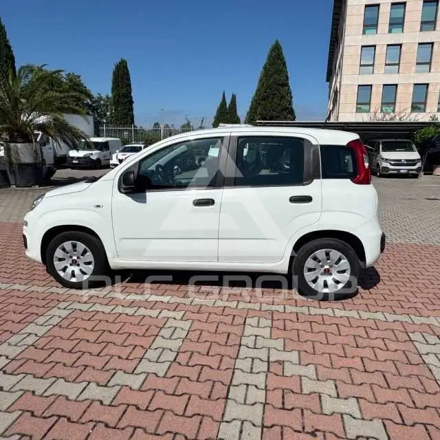 2020 Fiat Panda
