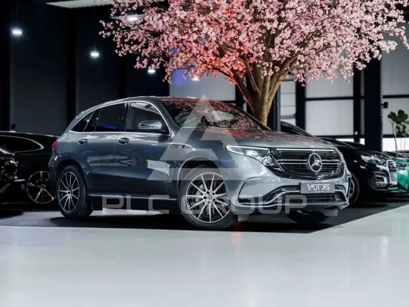 2020 Mercedes Benz EQC