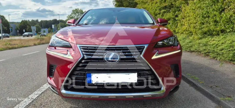 2020 Lexus NX300