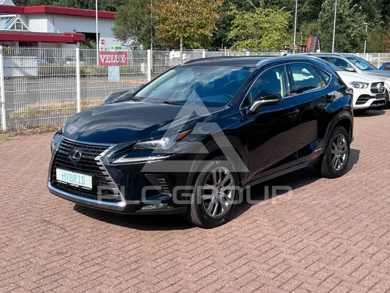 2020 Lexus NX300