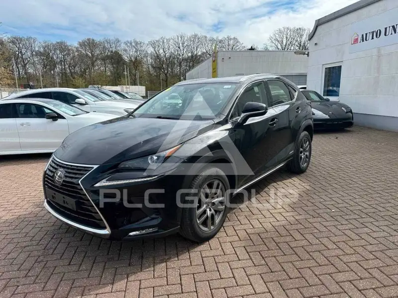 2020 Lexus NX300