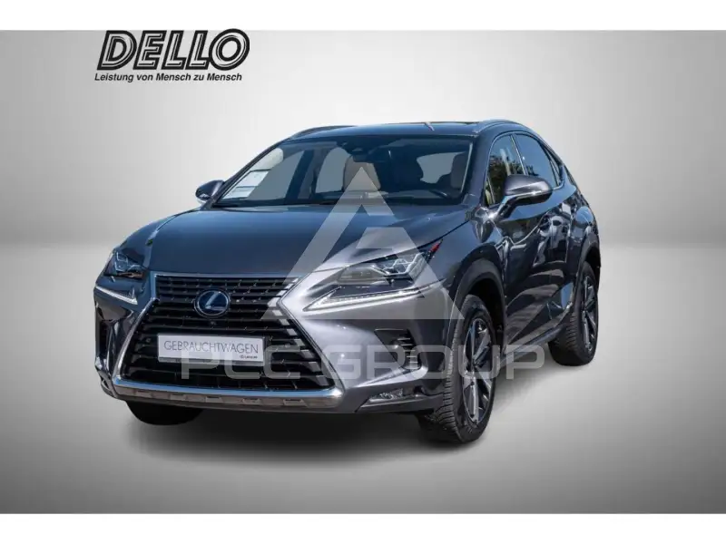 2020 Lexus NX300