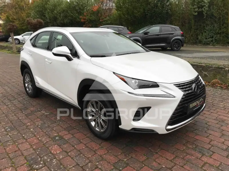 2020 Lexus NX300