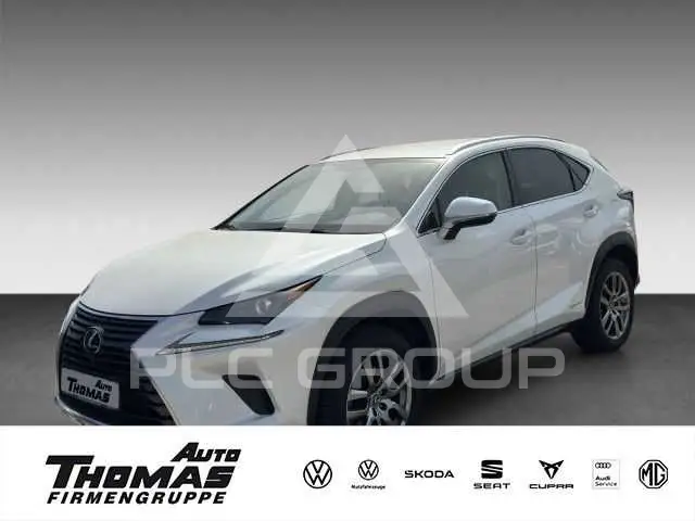 2020 Lexus NX300