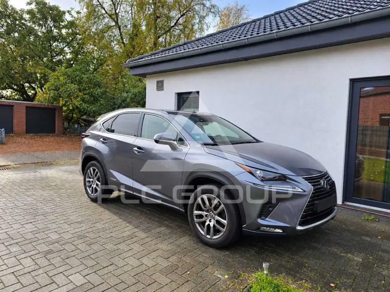 2020 Lexus NX300
