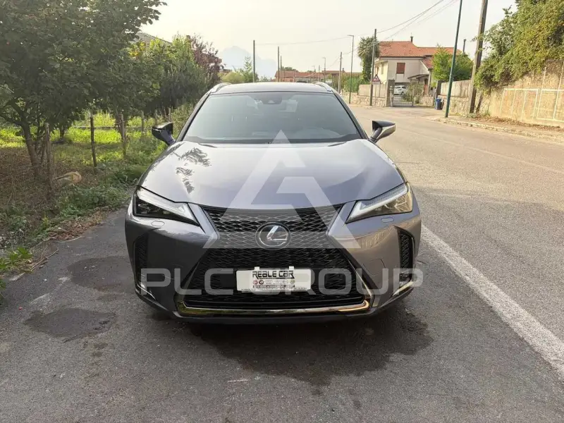 2020 Lexus UX