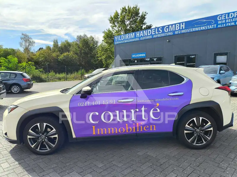 2020 Lexus UX