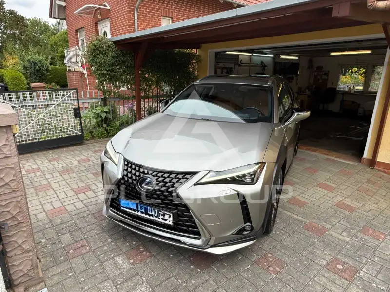 2020 Lexus UX